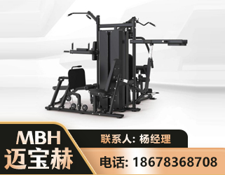昌都四人站训练器