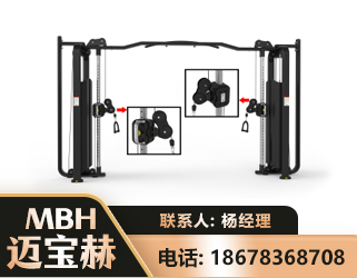 昌都大飞鸟训练器