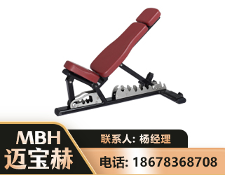 昌都可调哑铃椅