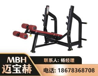 昌都豪华下斜卧推架